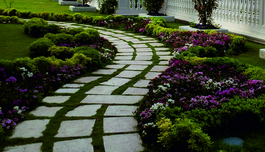 Terrace Garden